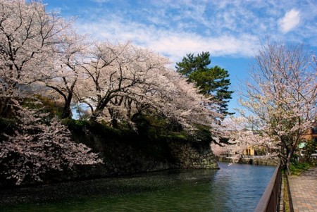 今週末3日（金）4日（土）5日（日）は「静岡まつり」開催！