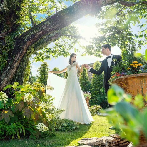 ◆優美さNo1のWEDDING◆緑×木×光の空間◎無料スイーツ付相談会【貸切洋館1800坪をすべて見学】