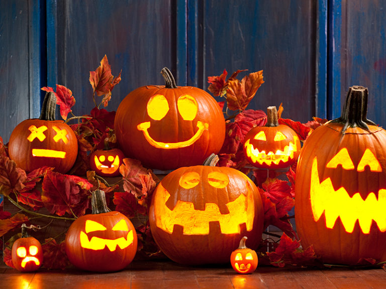 Trick or Treat！お菓子をくれないと悪戯するぞ